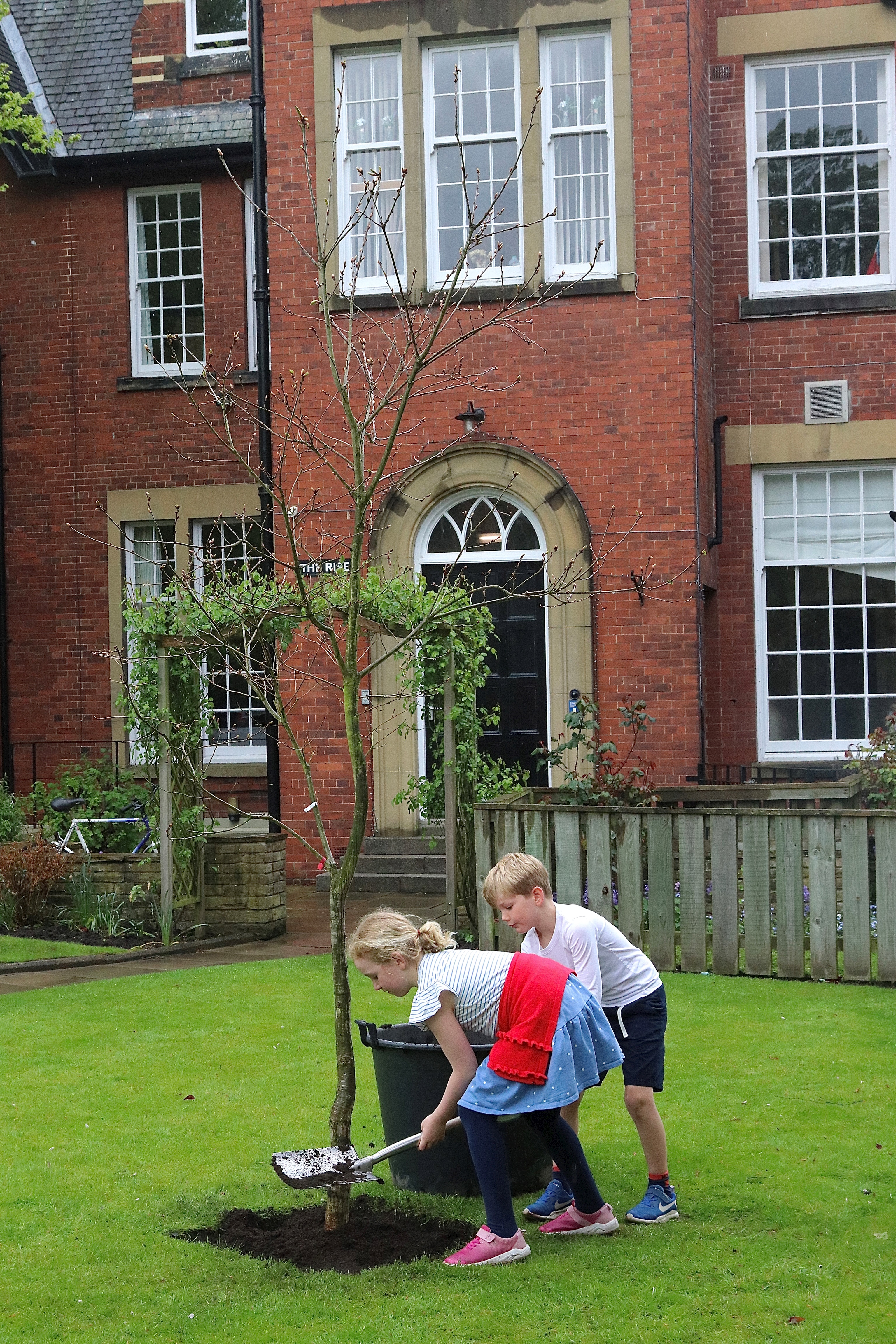 Oak Tree Planted To Mark Coronation 