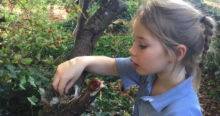 Forest School Fun